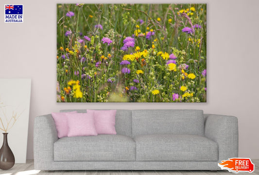 Wildflower Meadow Photograph Print 100% Australian Made