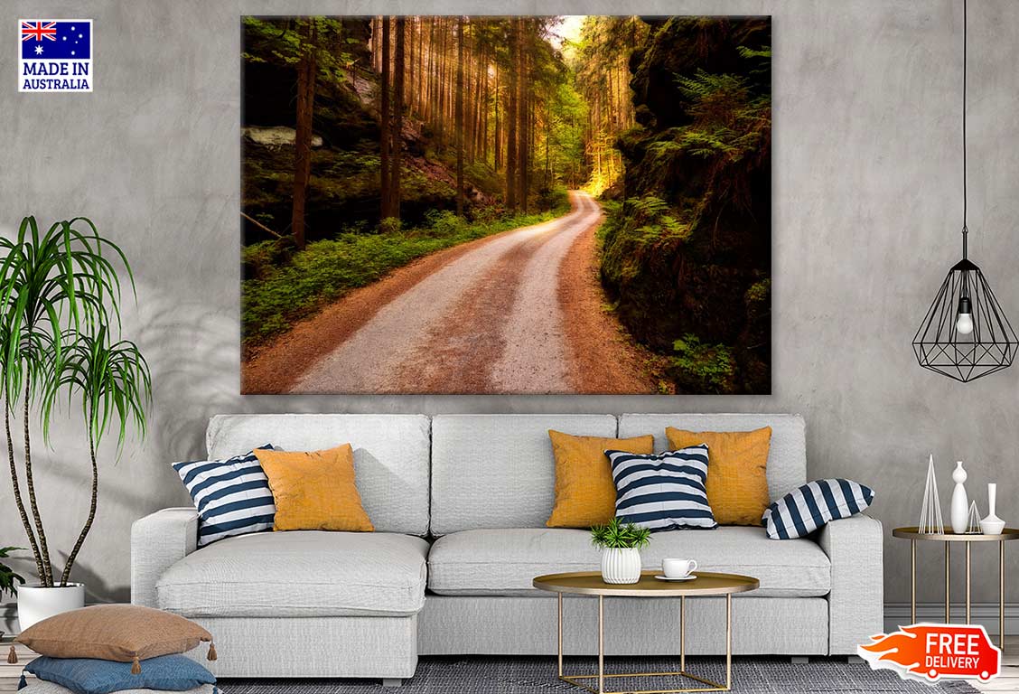 Road in Forest Photograph Print 100% Australian Made