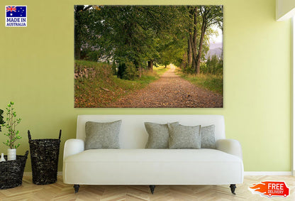 Road Near Forest Photograph Print 100% Australian Made