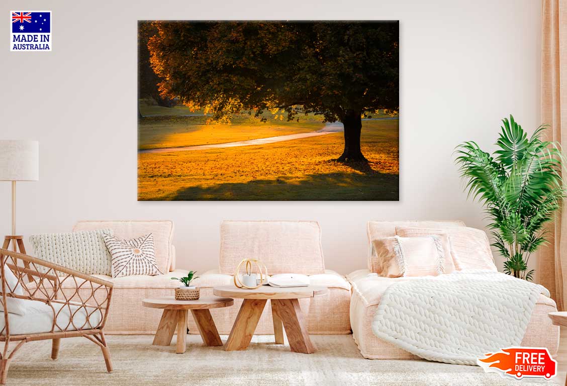 Sunshine Through Autumn Tree & Footpath Photograph Print 100% Australian Made
