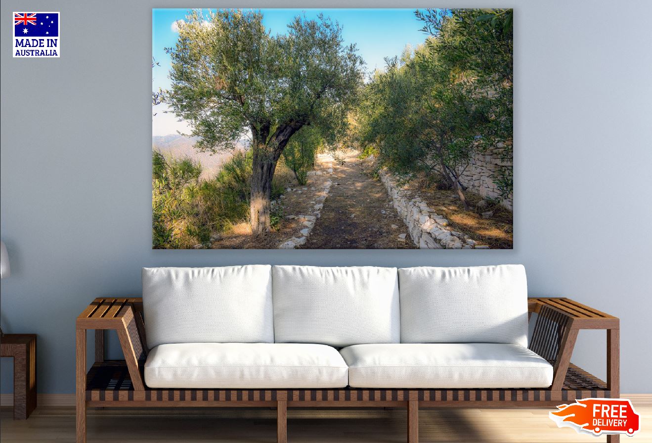 Old Road Covered with Trees Photograph Print 100% Australian Made