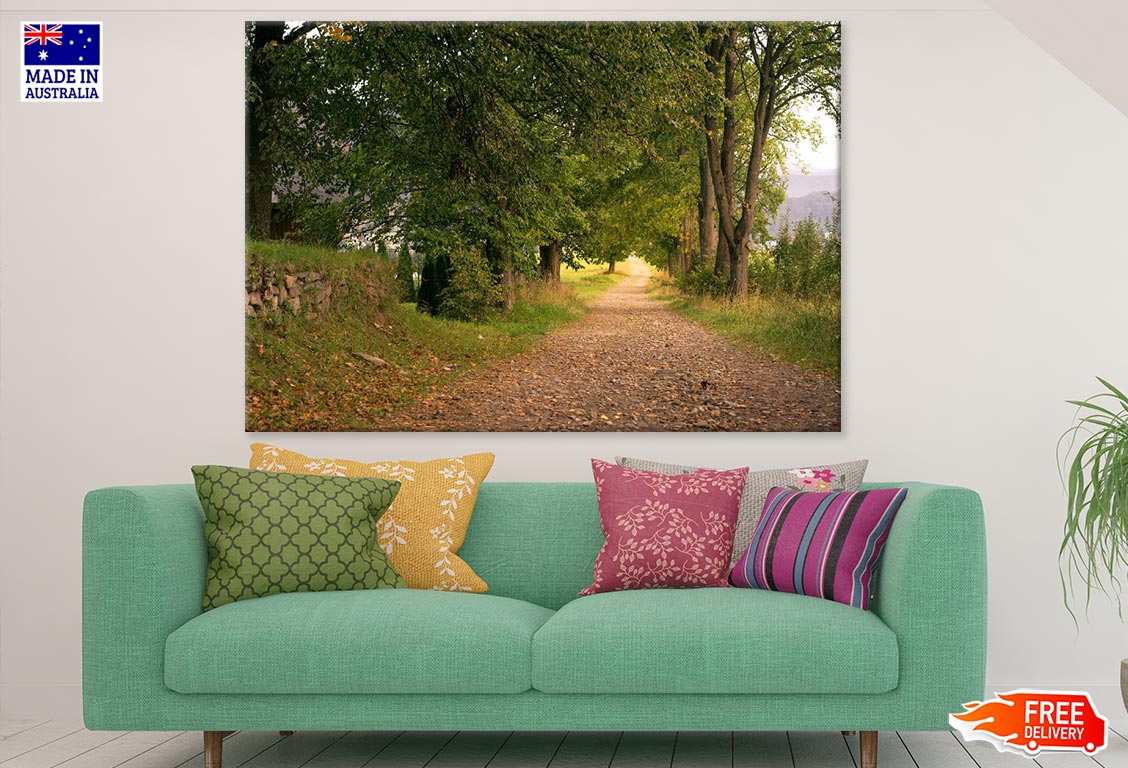 Road Near Forest Photograph Print 100% Australian Made