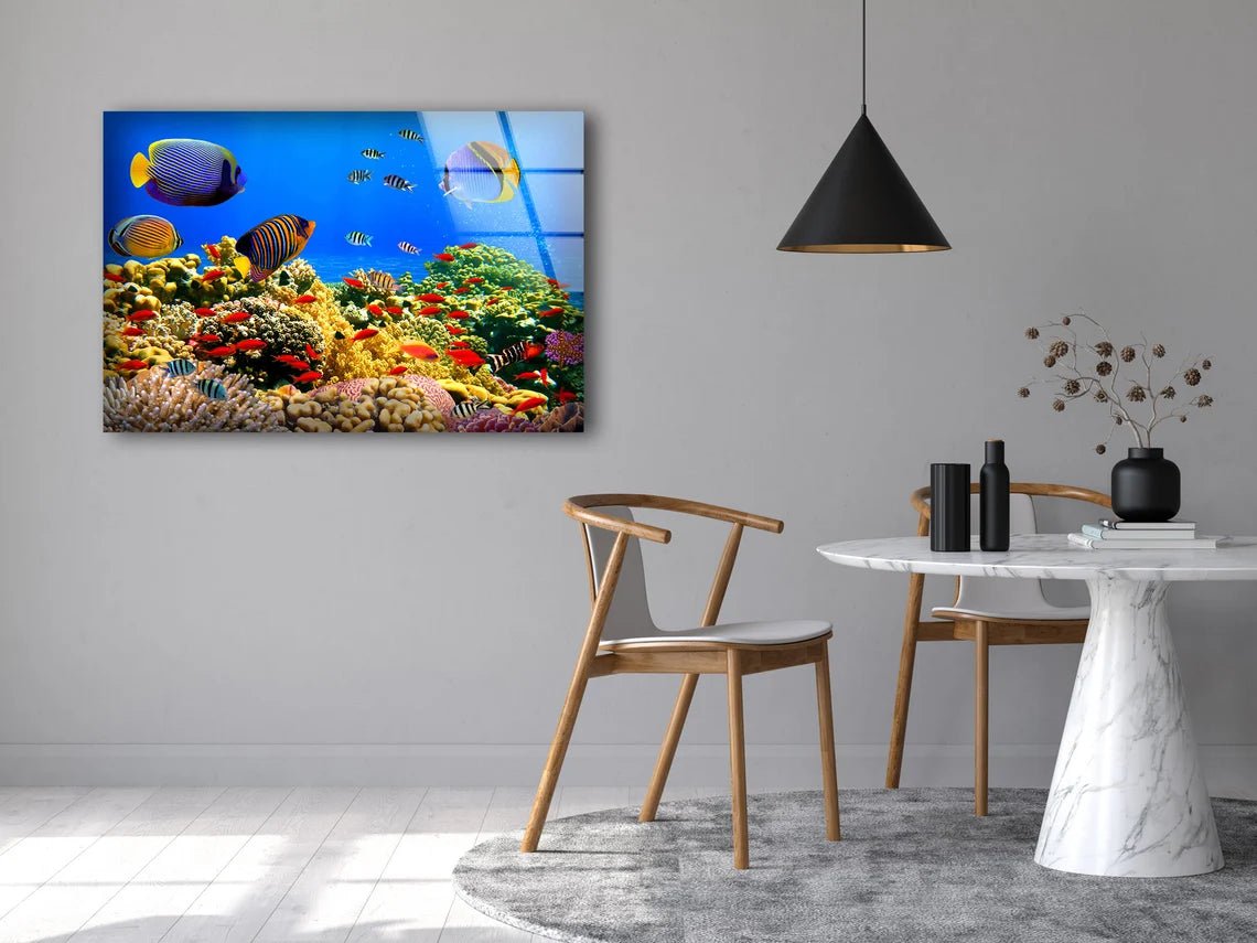 Underwater Fish Scenery View Photograph Acrylic Glass Print Tempered Glass Wall Art 100% Made in Australia Ready to Hang