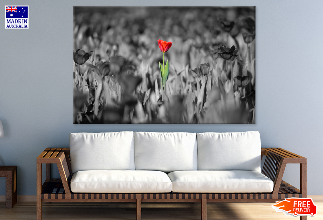 Red B&W Flowers Portrait Photograph Print 100% Australian Made