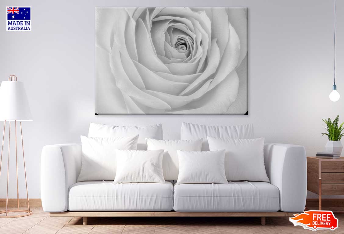 Rose Flower Closeup B&W View Print 100% Australian Made