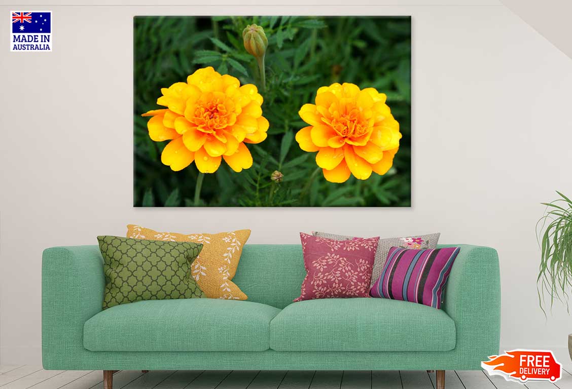 Orange Marigold Flowers View Photograph Print 100% Australian Made