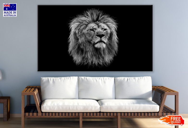 Lion Face B&W Photograph Print 100% Australian Made