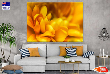 Yellow Flower Petals Closeup View Photograph Print 100% Australian Made