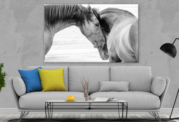 Horse Couple Love Portrait Photograph Print 100% Australian Made