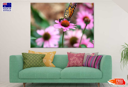 Butterfly & Bee on Pink Daisy Flower Photograph Print 100% Australian Made