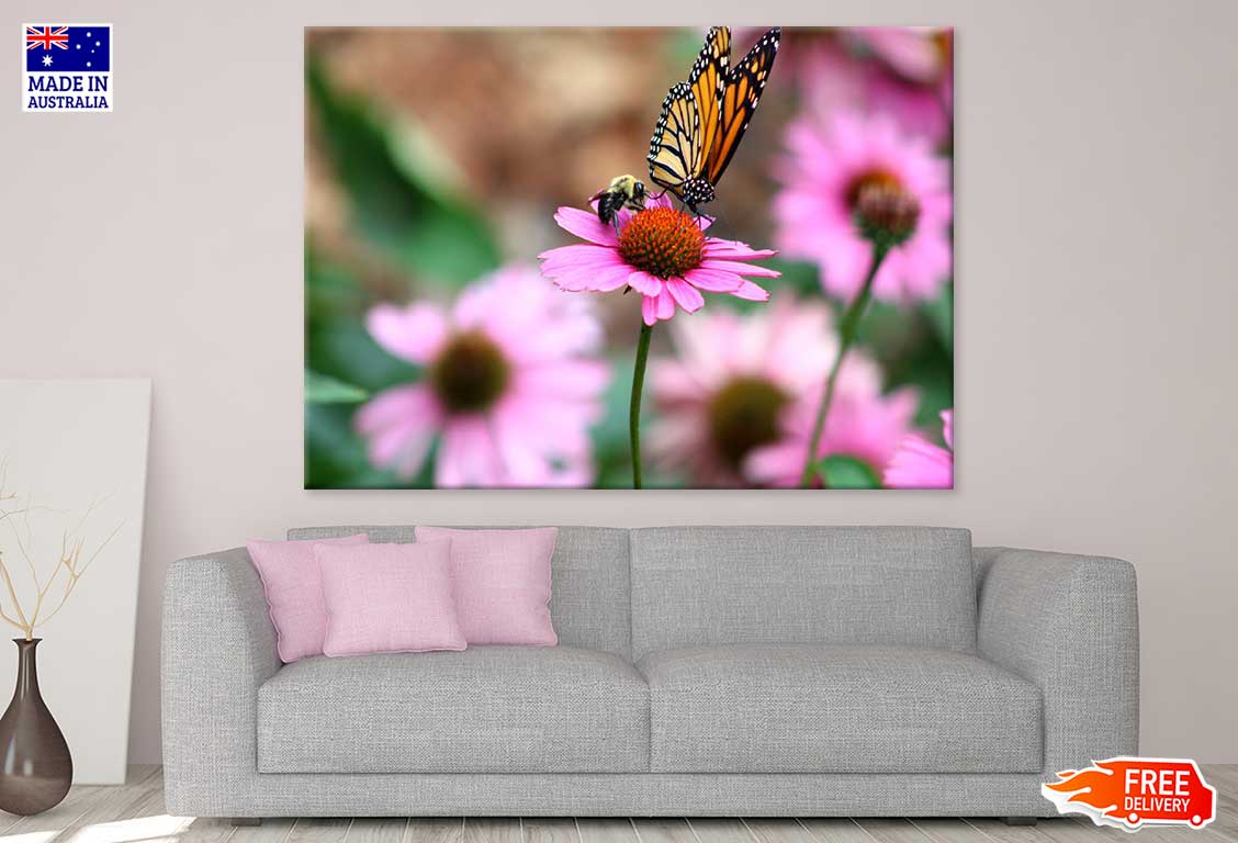 Butterfly & Bee on Pink Daisy Flower Photograph Print 100% Australian Made