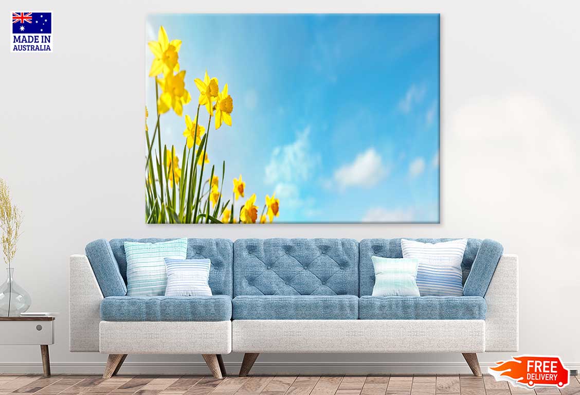 Yellow Daffodils Flowers Sky View Photograph Print 100% Australian Made