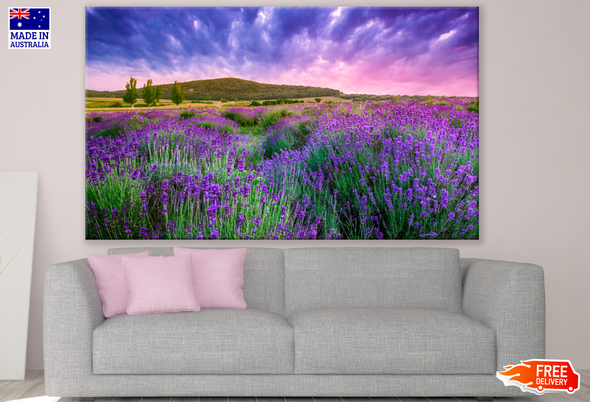 Lavender Flower Field & Beautiful Sky Photograph Print 100% Australian Made