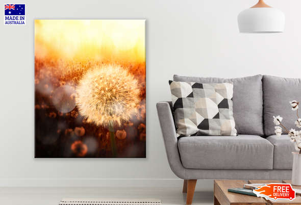Beautiful Dandelion Flower Closeup Photograph Print 100% Australian Made