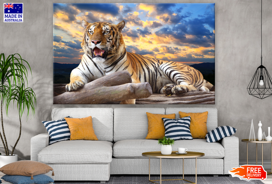 Tiger Sitting on a Tree Photograph Print 100% Australian Made