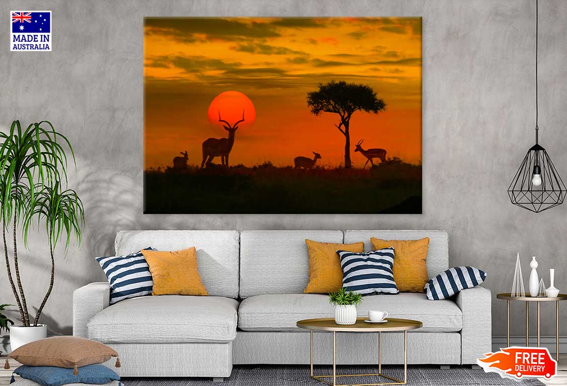 Deer in Kruger Park Sunset View Photograph Print 100% Australian Made