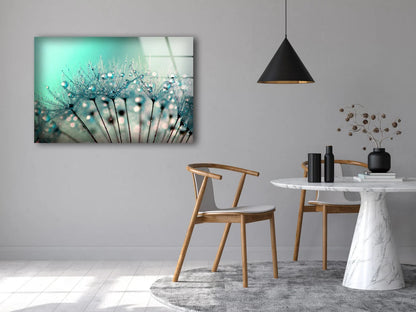 Dandelion Flowers with Water Drops Photograph Acrylic Glass Print Tempered Glass Wall Art 100% Made in Australia Ready to Hang