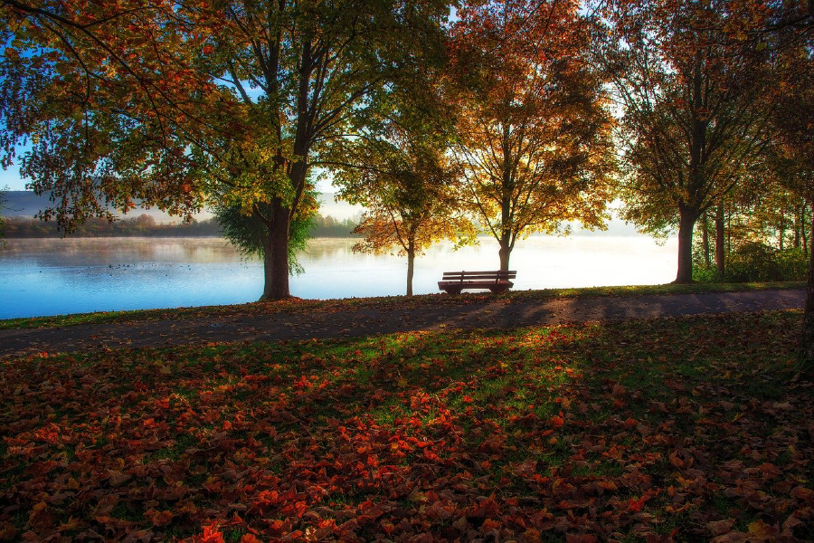 Bench Near Lake & Autumn Trees Photograph Print 100% Australian Made