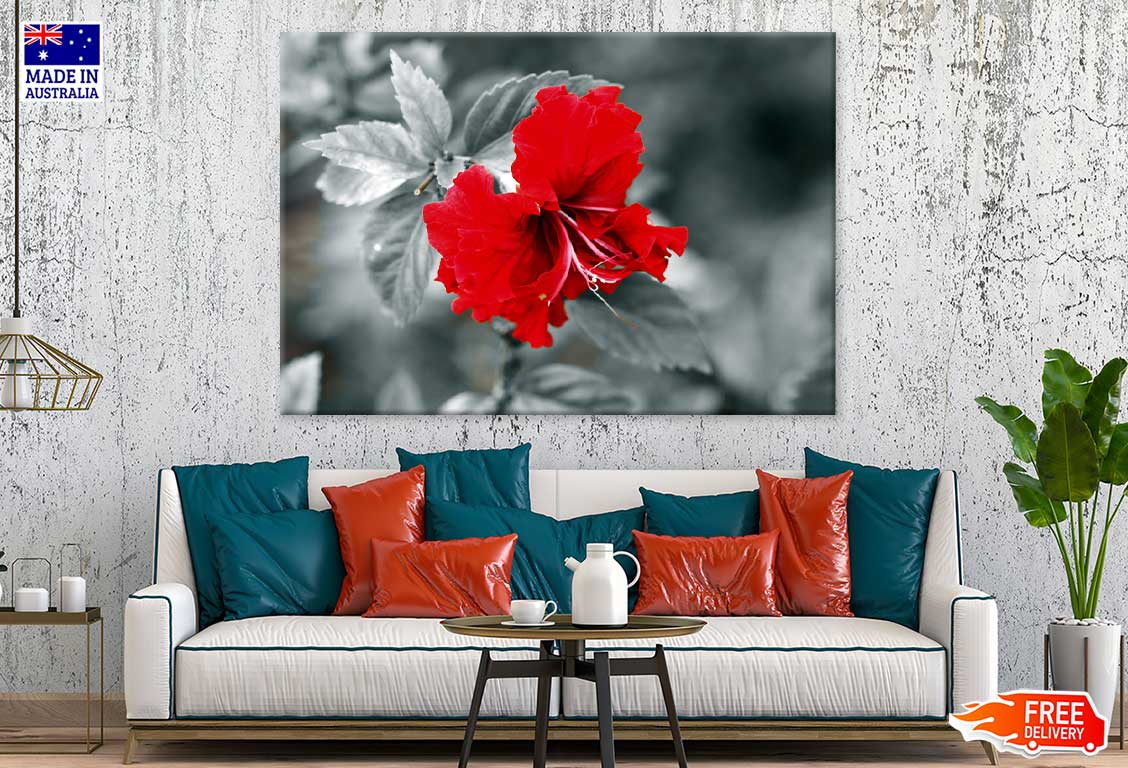 Red Hibiscus B&W View Photograph Print 100% Australian Made