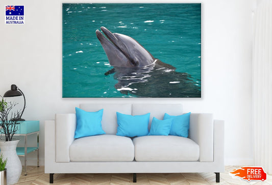 Dolphin on Sea Closeup Photograph Print 100% Australian Made