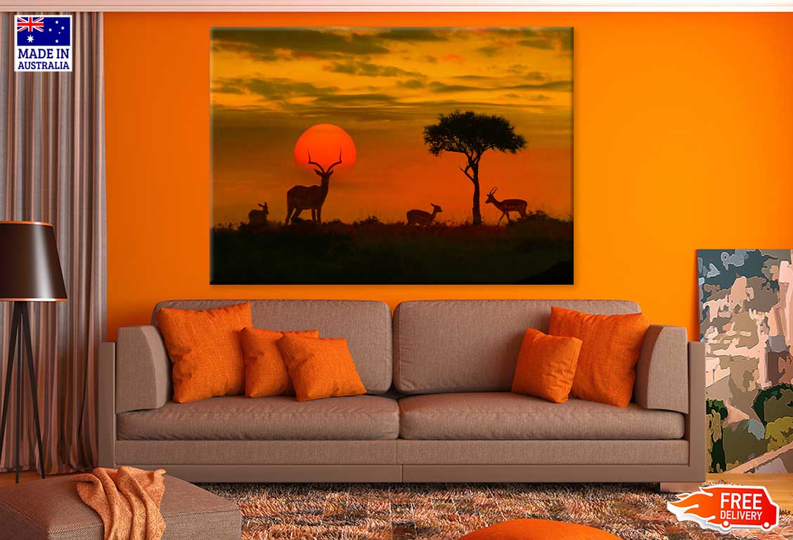 Deer in Kruger Park Sunset View Photograph Print 100% Australian Made