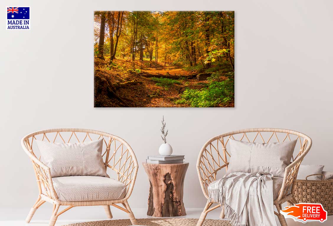 Autumn Forest Trees & Lake Scenery View Photograph Print 100% Australian Made