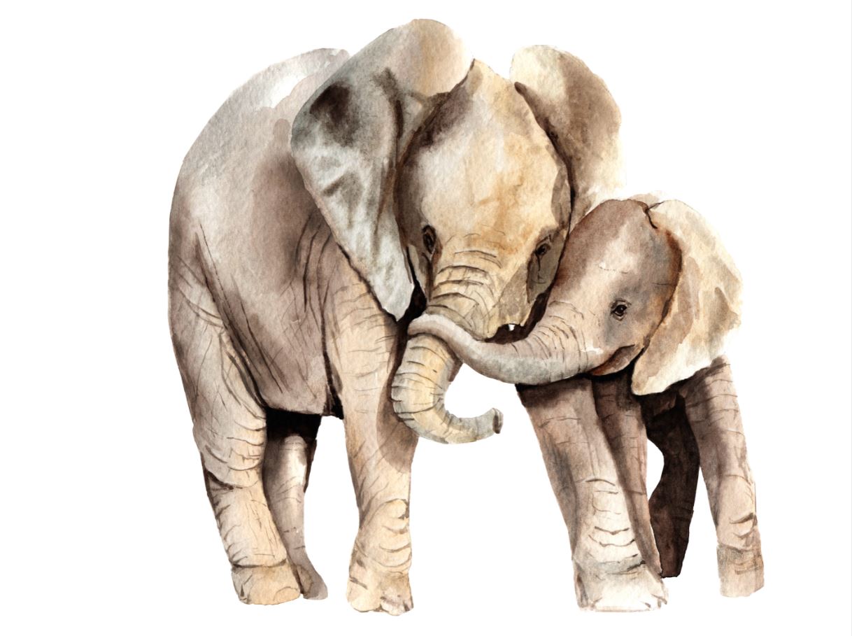 Elephant & Baby Watercolor Painting Print 100% Australian Made