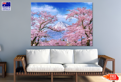 Blossom Flower Trees & Sky View Photograph Print 100% Australian Made