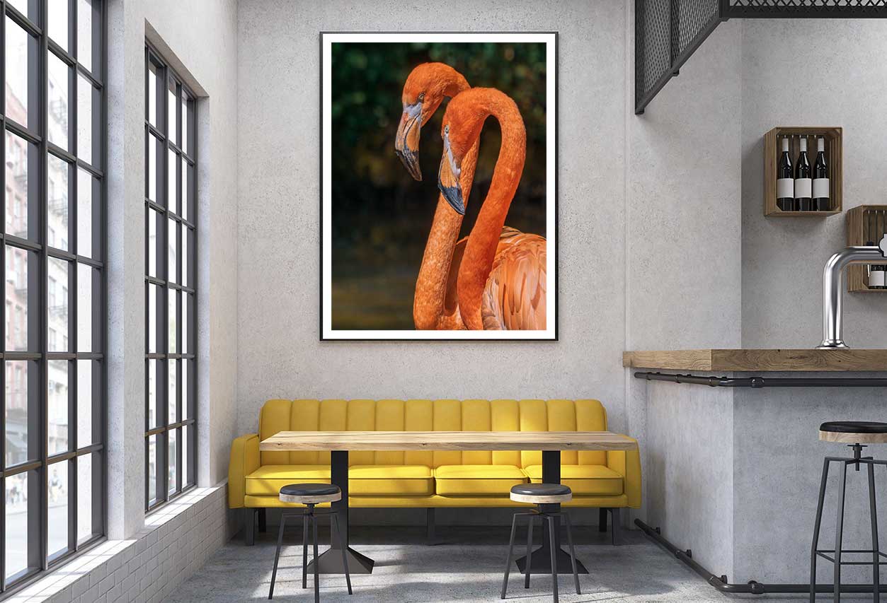 Flamingo Birds Portrait Closeup View Photograph Home Decor Premium Quality Poster Print Choose Your Sizes