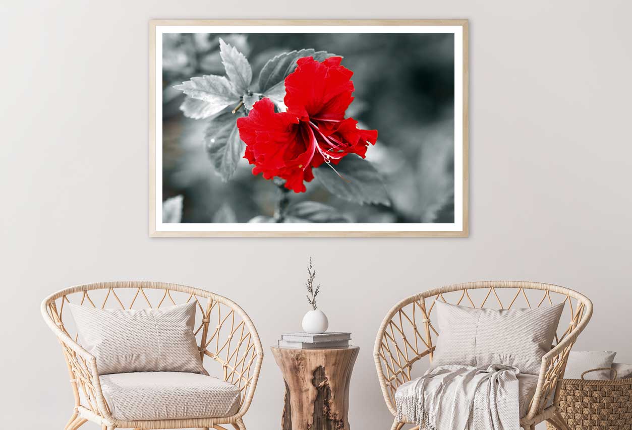 Red Hibiscus B&W View Photograph Home Decor Premium Quality Poster Print Choose Your Sizes