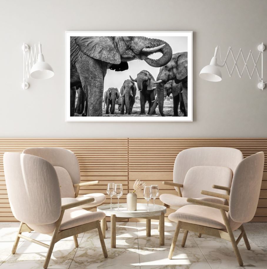 Elephant Portrait B&W Photograph Home Decor Premium Quality Poster Print Choose Your Sizes