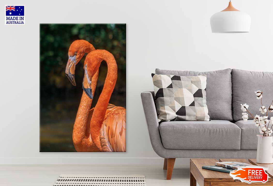 Flamingo Birds Portrait Closeup Photograph Print 100% Australian Made