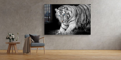 Tiger on Water B&W View Print Tempered Glass Wall Art 100% Made in Australia Ready to Hang