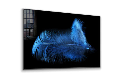 Blue Feather on Dark Print Tempered Glass Wall Art 100% Made in Australia Ready to Hang