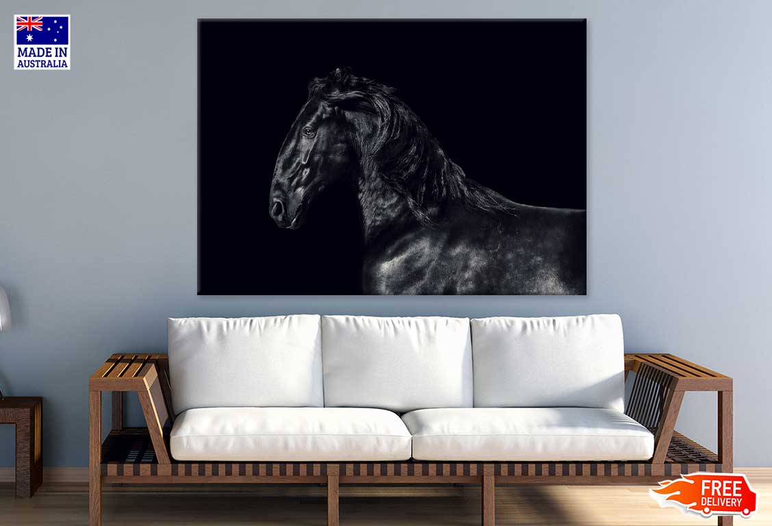 Black Horse View B&W Photograph Print 100% Australian Made