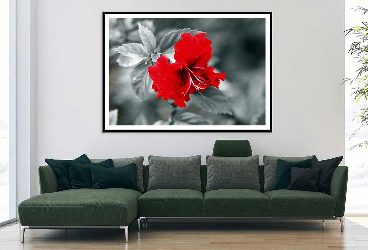 Red Hibiscus B&W View Photograph Home Decor Premium Quality Poster Print Choose Your Sizes