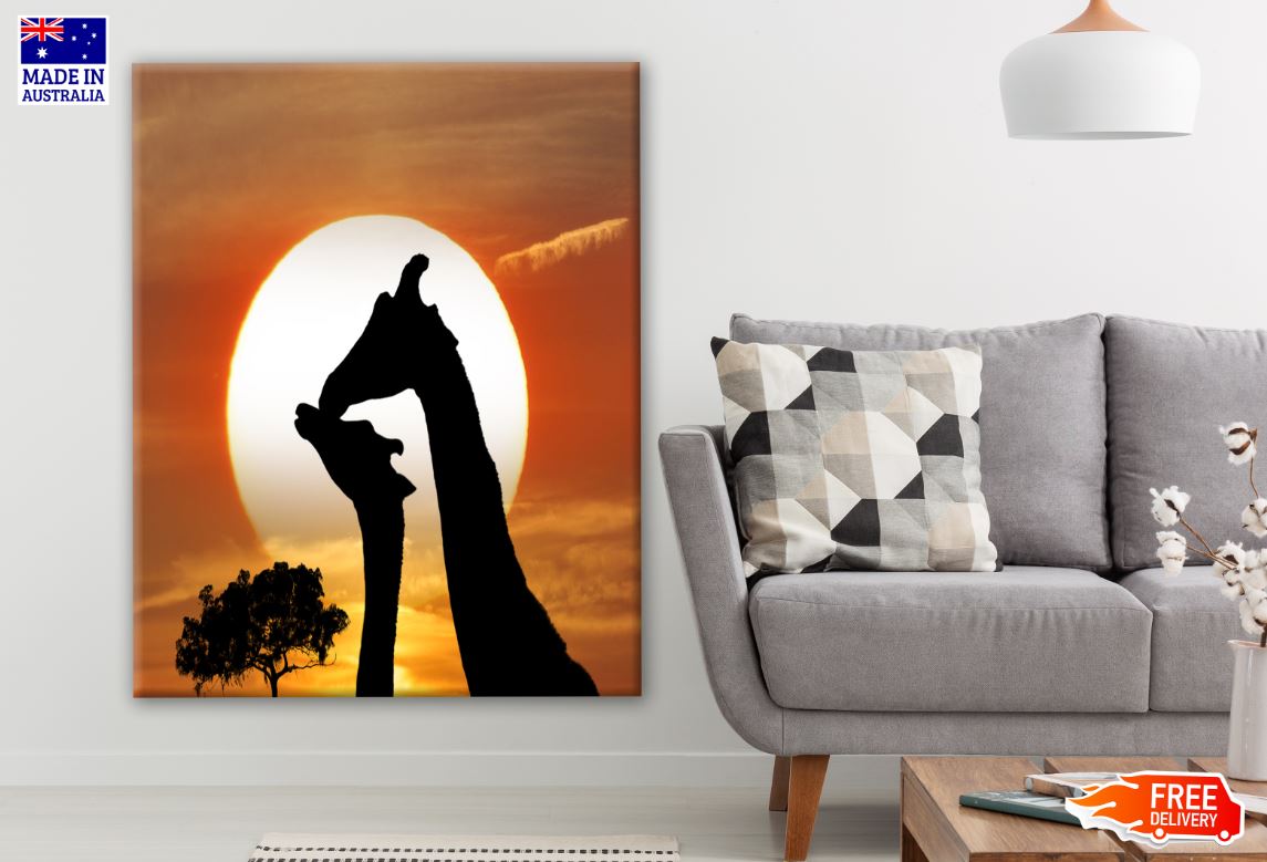 Giraffe Couple Portrait in Sunset Photograph Print 100% Australian Made