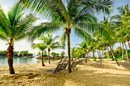 Bella Home Beach Sentosa With Beach Chairs & Palm Print Canvas Ready to hang