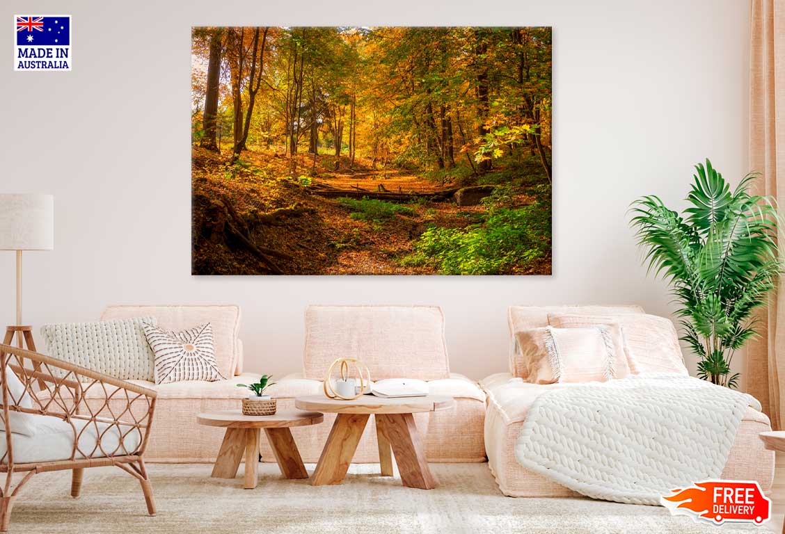 Autumn Forest Trees & Lake Scenery View Photograph Print 100% Australian Made