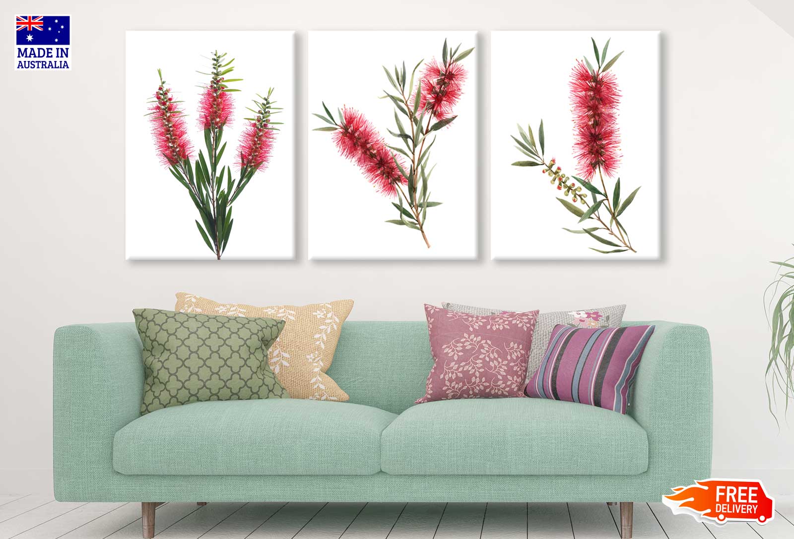 3 Set of Red Bottle Brush Flowers Photograph High Quality Print 100% Australian Made Wall Canvas Ready to Hang