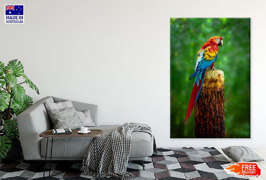 Colorful Macaw Parrot on Branch Photograph Print 100% Australian Made