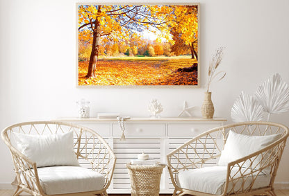 Yellow Orange Autumn Tree View Photograph Home Decor Premium Quality Poster Print Choose Your Sizes