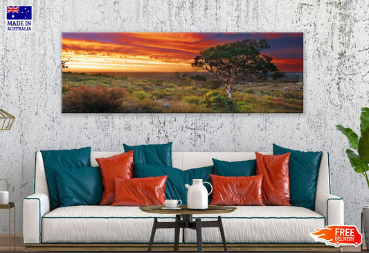 Panoramic Canvas Trees on Hill Sunset View Photograph High Quality 100% Australian Made Wall Canvas Print Ready to Hang