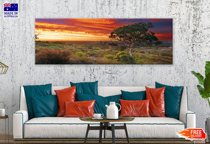 Panoramic Canvas Trees on Hill Sunset View Photograph High Quality 100% Australian Made Wall Canvas Print Ready to Hang