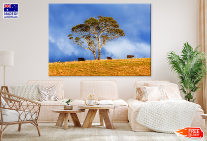 Tree & Cow Herd Scenery Photograph Print 100% Australian Made