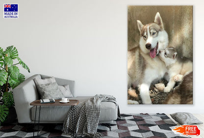 Baby Siberian Husky Puppies Photograph Print 100% Australian Made