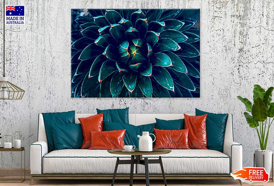 Dark Green Cactus Flower Closeup View Print 100% Australian Made