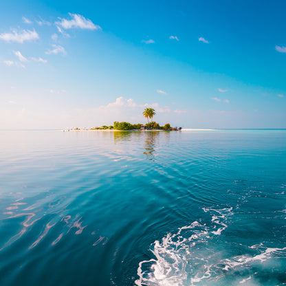 Square Canvas Small Coconut Paradise Island View Photograph High Quality Print 100% Australian Made