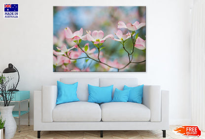 Pink Dogwood Tree Flowers View Photograph Print 100% Australian Made