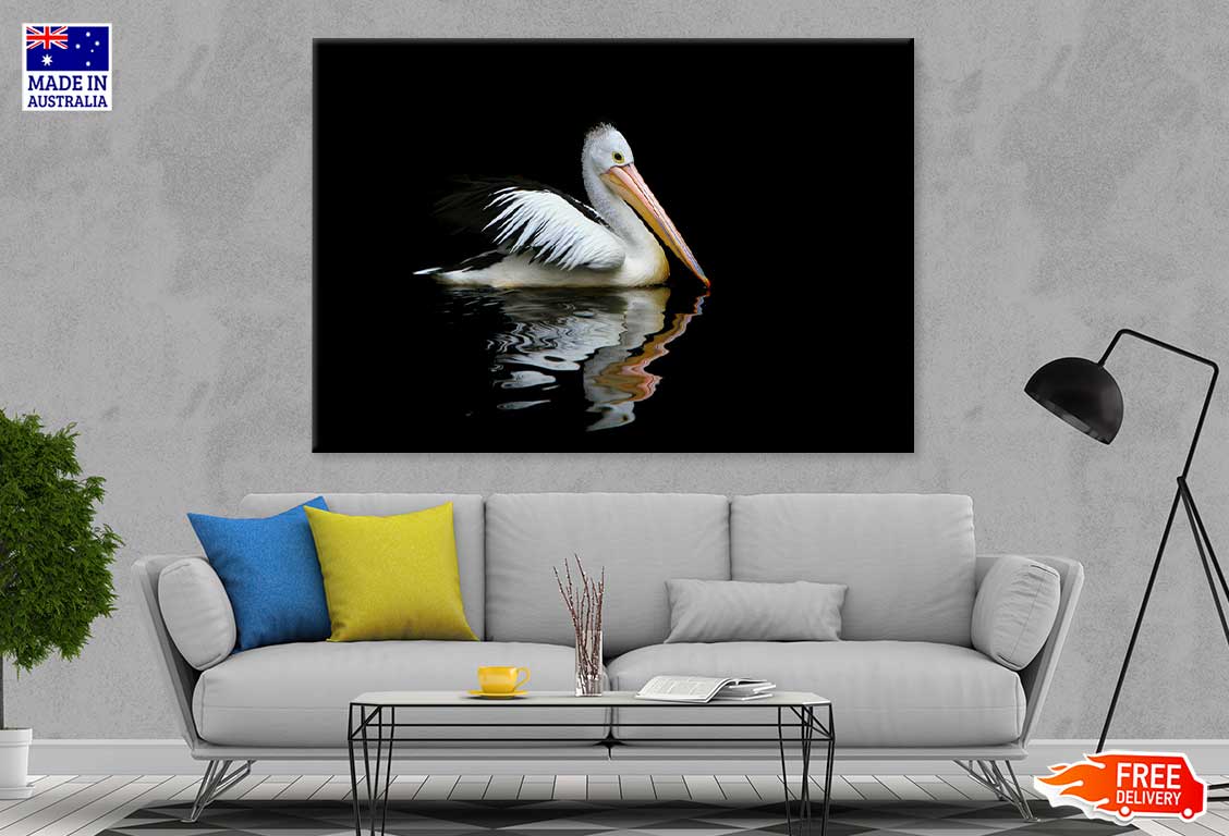 Australia Pelican Sea Bird View Photograph Print 100% Australian Made